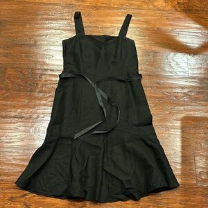 Ann Taylor Loft Dress